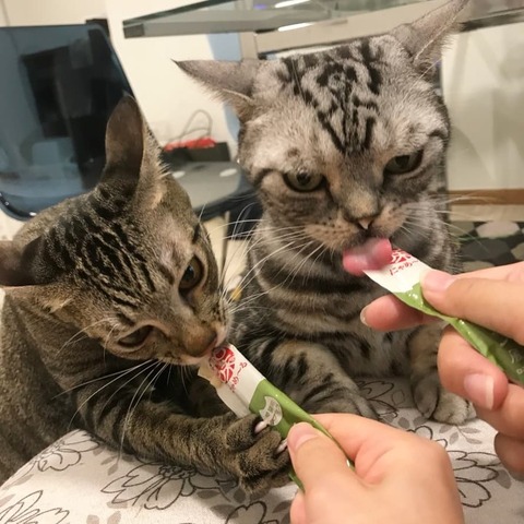 IMG_20181222_110231_171