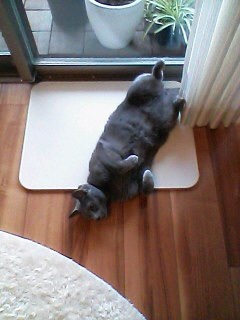 {62F6B26E-6674-4B5A-B3A0-1384DF7DDCC9}