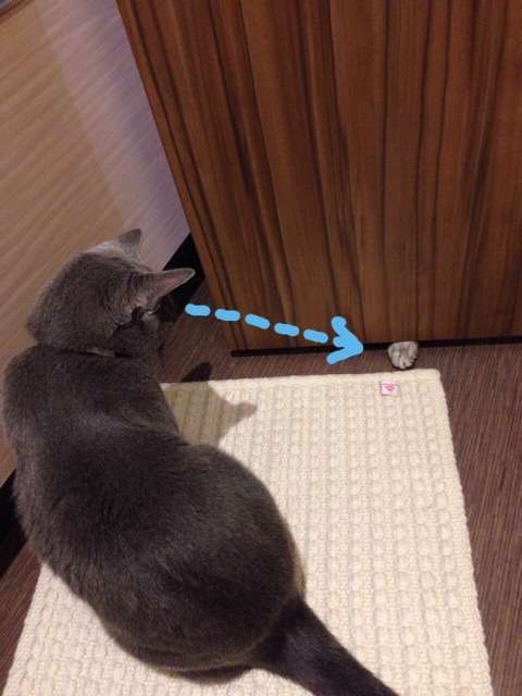 {4AA66F3D-02C8-4522-A047-6A1CC793CFA9:01}