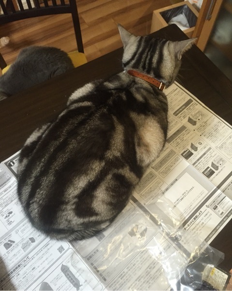 {85D75CE8-B7C6-455D-8239-73EF62161DC8:01}