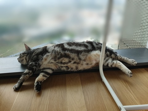 Point Blur_20191004_073619