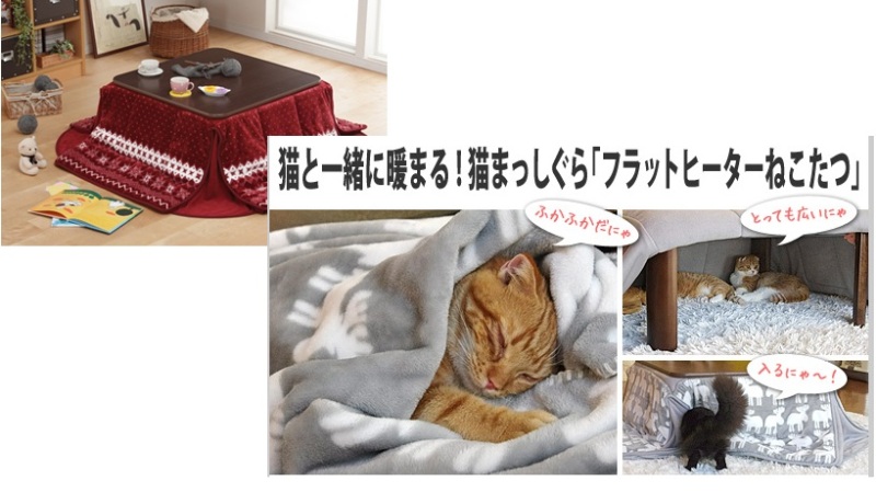 ねころぐ