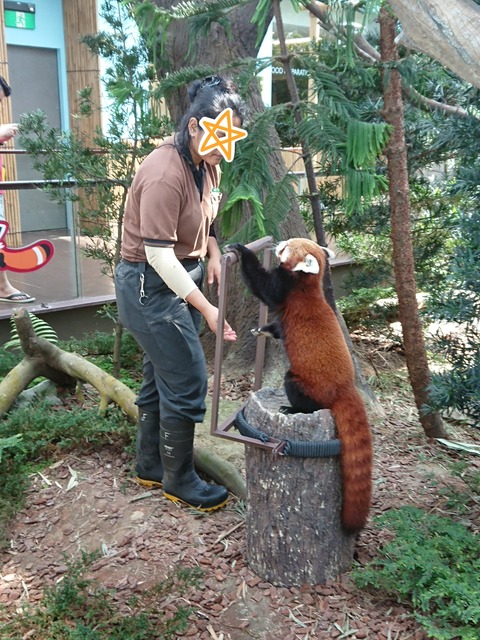 19-01-11-10-35-31-185_deco