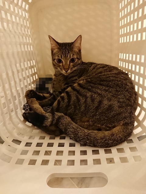 Point Blur_20180716_203520