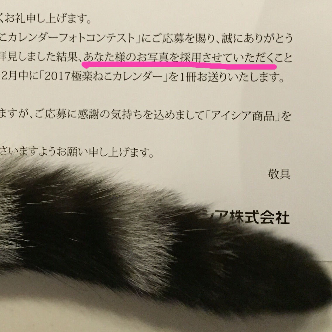 極悪にゃん 極楽ねこカレンダーに採用される ねころぐ にゃんごくlife クアラルンプール Powered By ライブドアブログ 極悪にゃん 極楽ねこカレンダーに採用される ねころぐ にゃんごくlife クアラルンプール Powered By ライブドアブログ