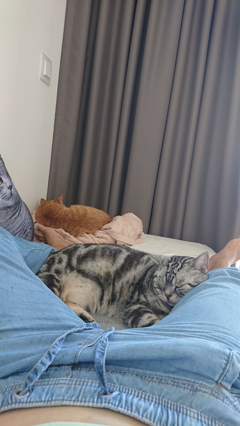 IMG-20190819-WA0004