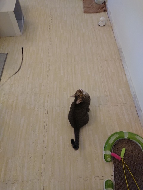 DSCPDC_0001_BURST20180715181915469