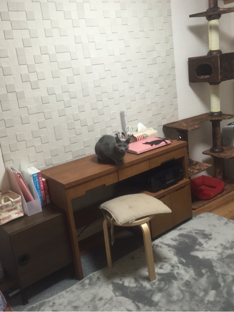 {70A62A23-01AB-489F-B01C-563056647A91:01}