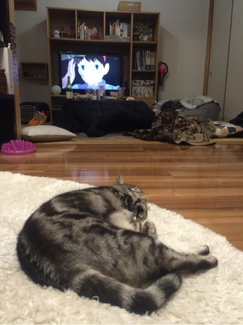 {65480179-3CD8-4CB9-9A88-566343AE2314:01}