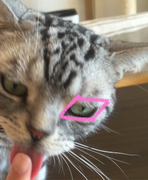 {0531CF55-C429-42EC-8BDB-577E3B8D8688:01}