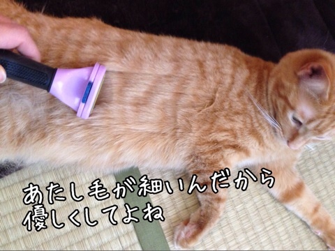 {C5D1F42A-F57F-4E93-BFAE-DD64DE916013:01}