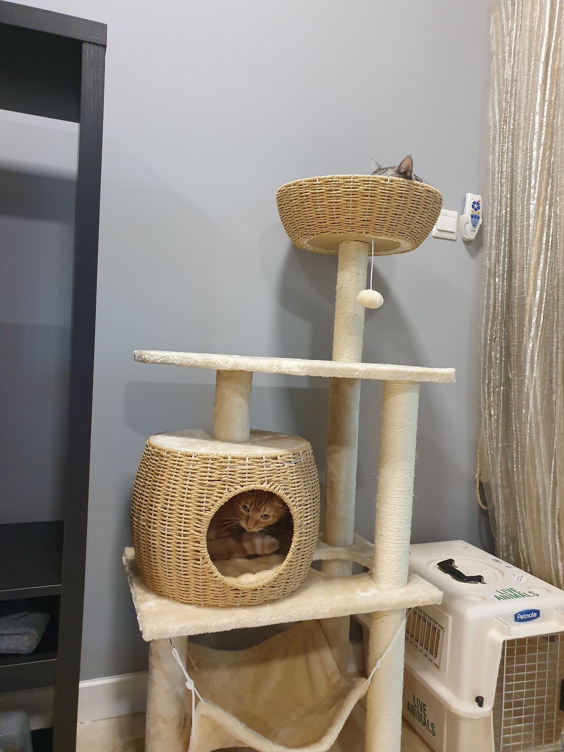 Petmate 動物カゴ Petmate 動物カゴ