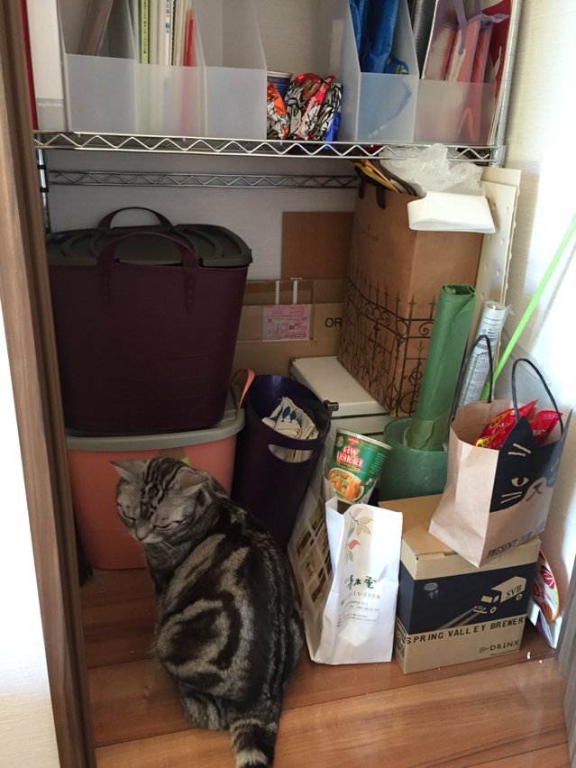夫の開かずの箱を片付けてやった ねころぐ にゃんごくlife クアラルンプール Powered By ライブドアブログ 夫の開かずの箱を片付けてやった ねころぐ にゃんごくlife クアラルンプール Powered By ライブドアブログ