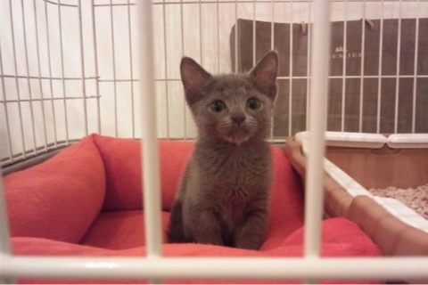 photo:01
