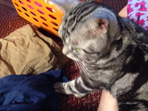 {1244DB51-E7B6-4D40-BF14-F01401B932F2:01}