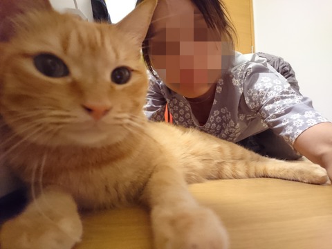 Point Blur_20190329_064416