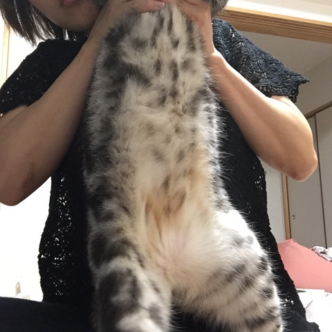 {1E281454-95B8-4386-BEAA-4CA4FABD72D7:01}