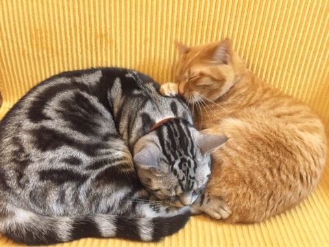 {D2674E12-F880-44C6-9DF0-BA39333FF1C2}