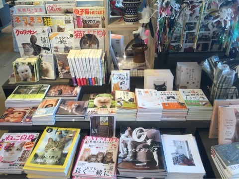 {A09B0776-8F20-4869-9606-46A75104C187:01}