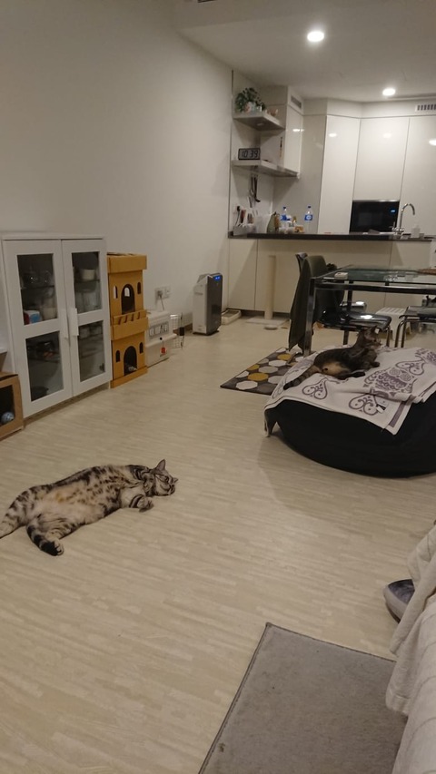IMG-20190218-WA0022