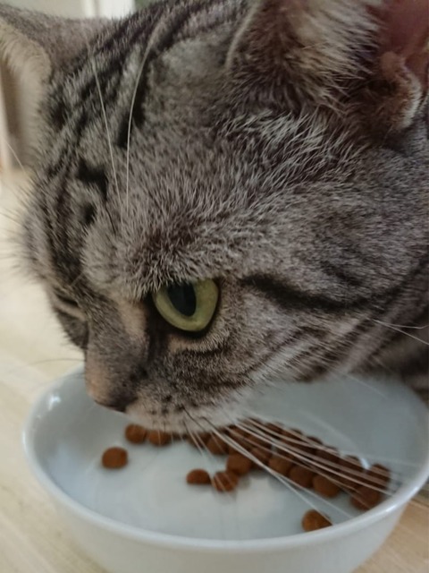 18-11-24-21-10-53-875_deco