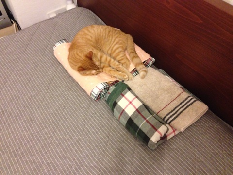 {85BE2A5C-494F-4252-8921-122AECD19C1A:01}