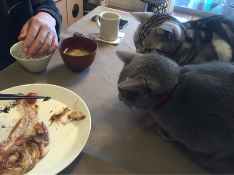 {127CFAF9-D449-446B-843B-1AF50E8B67B8:01}