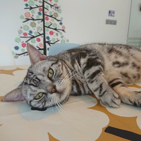 IMG_20171226_120128_893