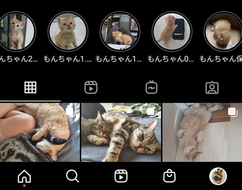 Screenshot_20210701-102914_Instagram