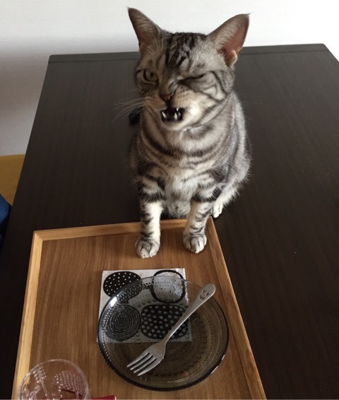 {7F3D3578-AC9B-4C54-AC07-0DA115CF4B99:01}