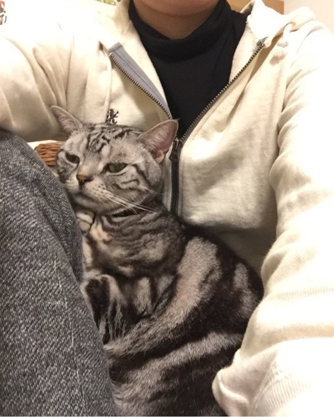 {0E76009C-E2D8-491D-86B3-4180673C207A:01}