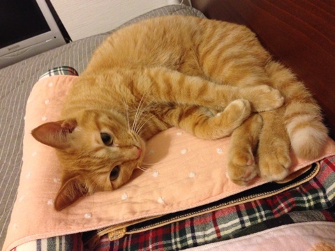 {1F6E8A07-B15B-4E1D-84C8-84EBC05BE8AC:01}