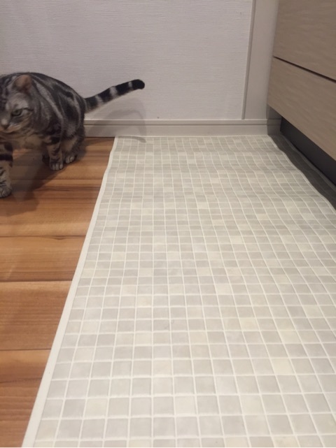 {2176C77C-5319-478B-A4B9-D8194A9354EB}