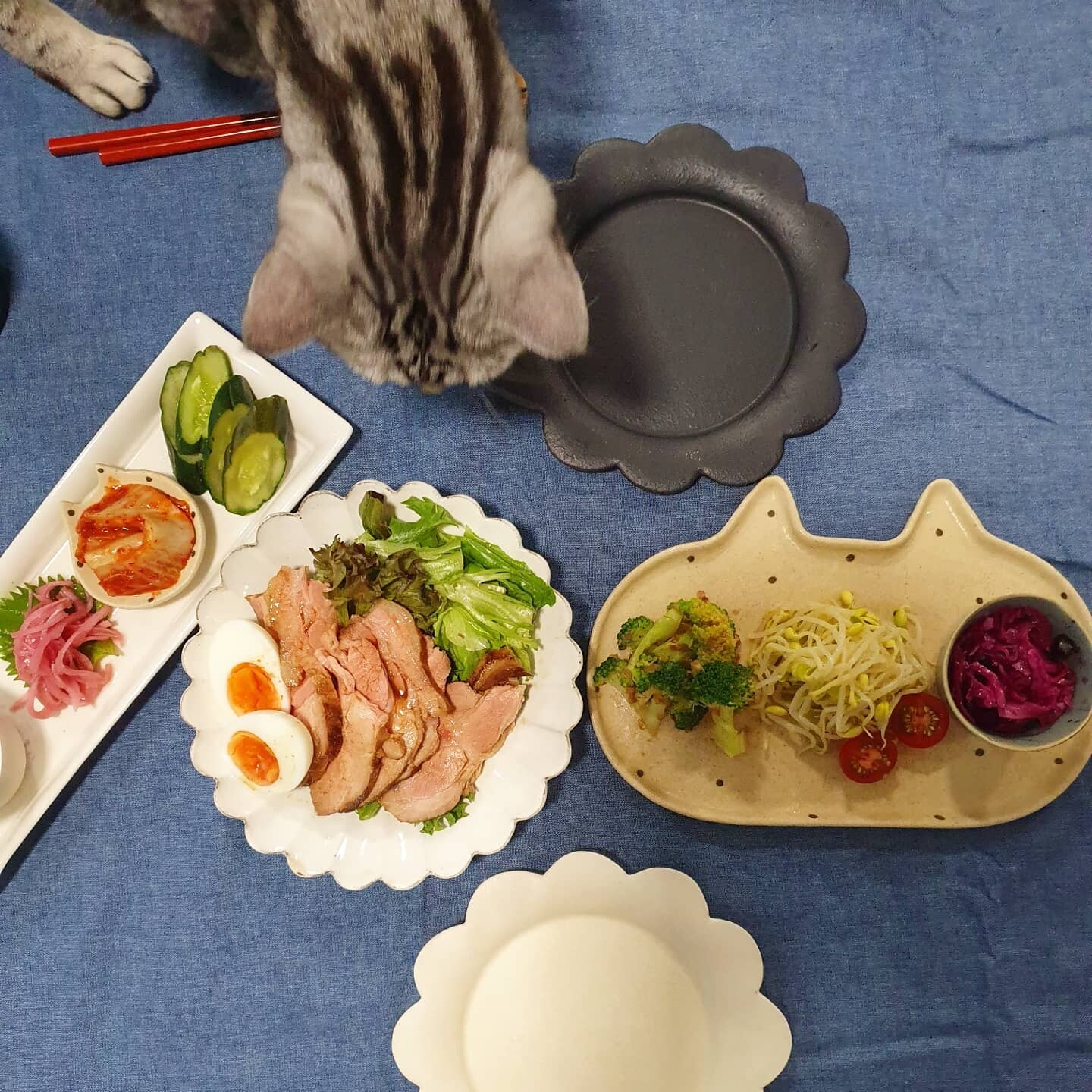 低温調理器ANOVA nanoでチャーシューを作りました : ねころぐ ～にゃん