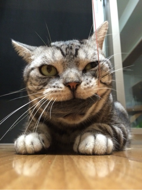 {F9942940-A01F-4CDF-ACFD-90B519317656:01}