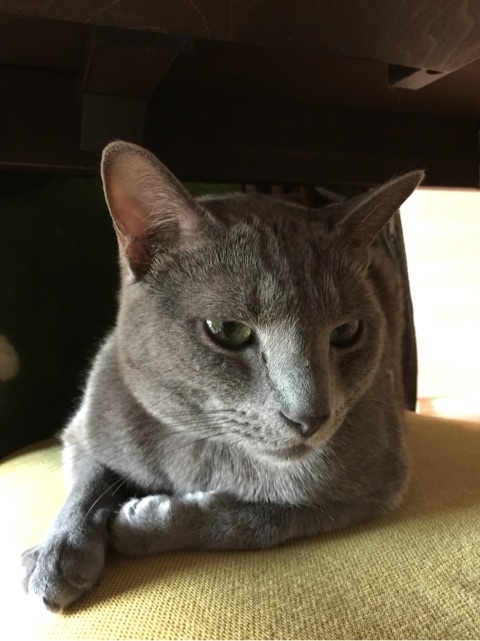 {493A0C71-7D19-43F0-A3CF-3F913F97C4C2:01}