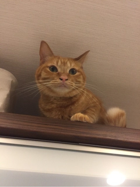 {28E82F28-C7EF-4857-8BC5-32EE2B328BB4:01}