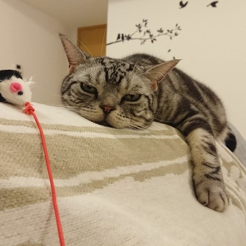 IMG_20171229_075939_953