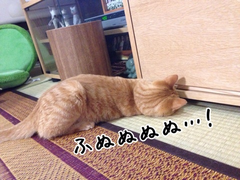 {D284EFEC-9133-4A8D-8891-5F7F18C88F9B:01}