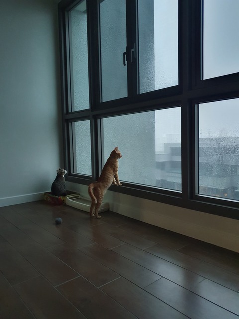20201117_175447