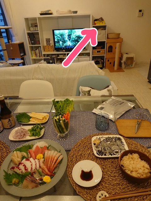 18-07-23-08-40-05-764_deco