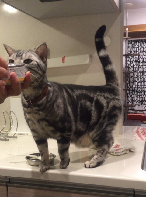 {DDFB8D3E-BB16-4888-A6ED-427A3352E311:01}