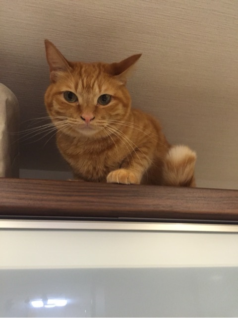 {D362548F-70D8-4AA1-A4B7-CE5D40D4FF1D:01}