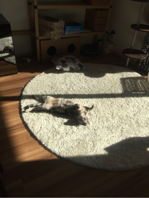 {4B79963F-66A1-49D7-9462-45D937CFF906:01}