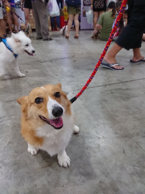 DSCPDC_0002_BURST20180407144101090