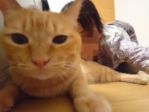 Point Blur_20190329_064510