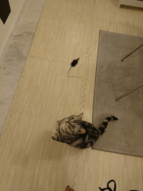 DSCPDC_0001_BURST20171229201014151