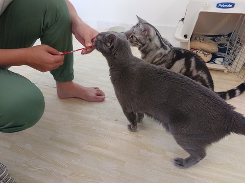 [画像:df8447c6-s.jpg]