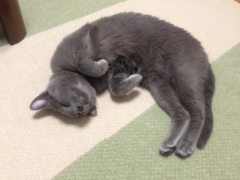 photo:05