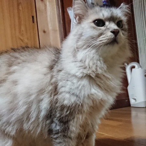 IMG_20181122_222523_563